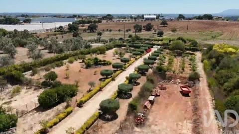 Terreno para Venda em Azambujeira e Malaqueijo