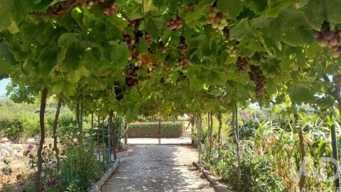 Terreno para Venda em Azambujeira e Malaqueijo