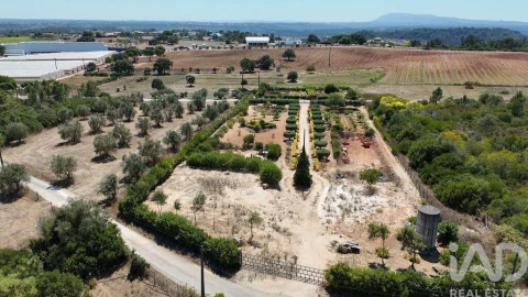 Terreno para Venda em Azambujeira e Malaqueijo