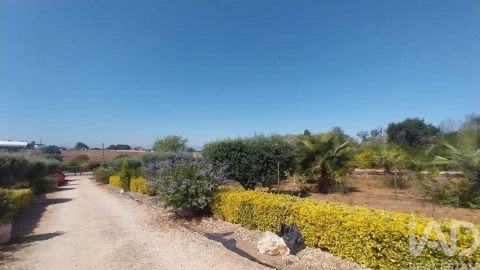 Terreno para Venda em Azambujeira e Malaqueijo