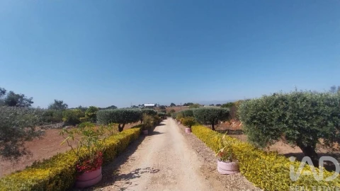 Terreno para Venda em Azambujeira e Malaqueijo