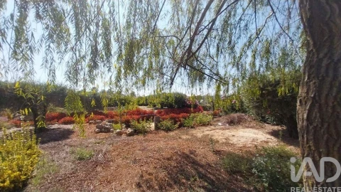 Terreno para Venda em Azambujeira e Malaqueijo