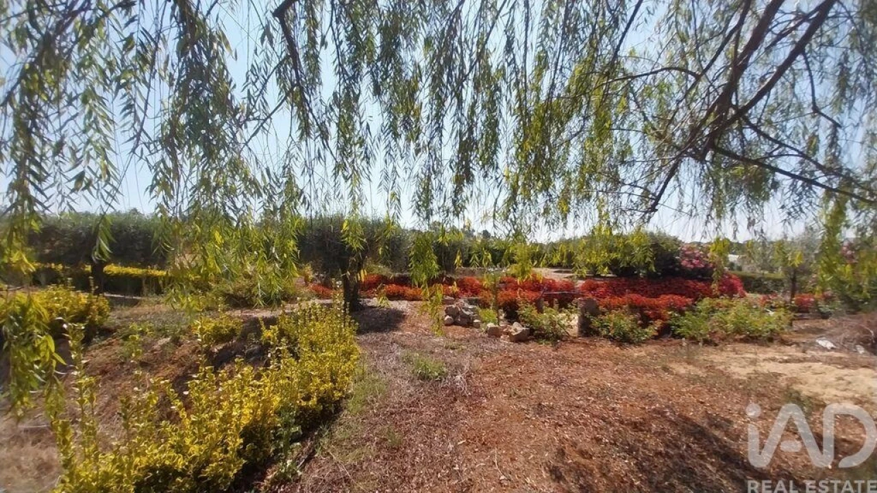 Terreno para Venda em Azambujeira e Malaqueijo Foto 29