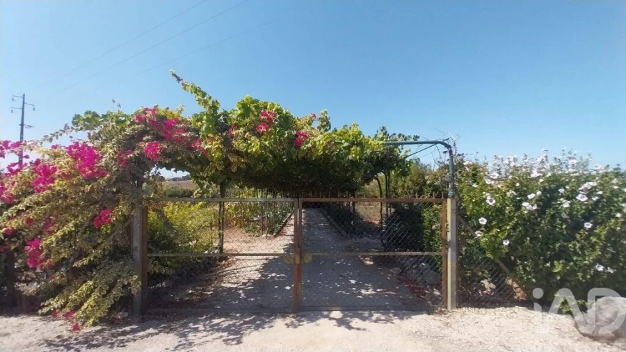 Terreno para Venda em Azambujeira e Malaqueijo Foto 25
