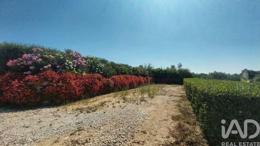 Terreno para Venda em Azambujeira e Malaqueijo Foto 13
