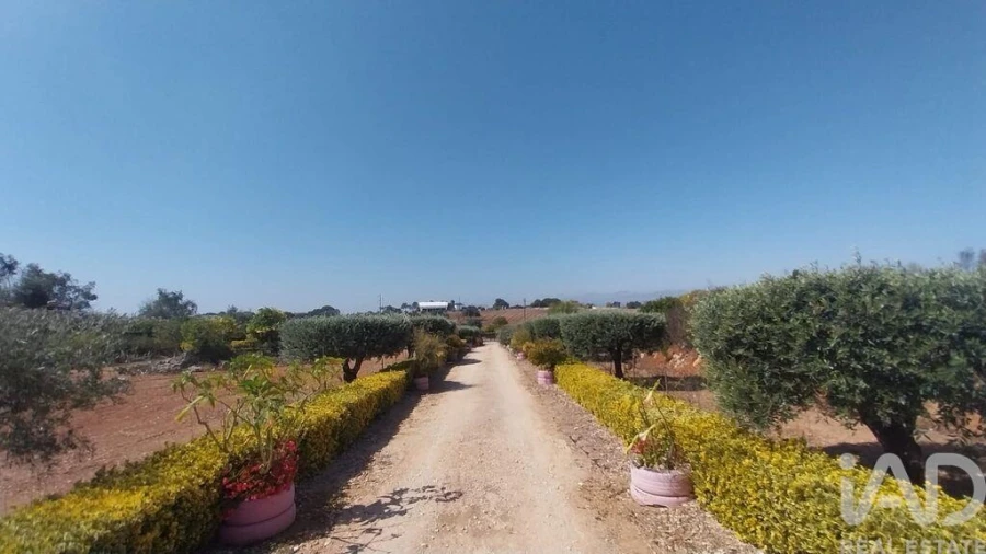 Terreno para Venda em Azambujeira e Malaqueijo Foto 26