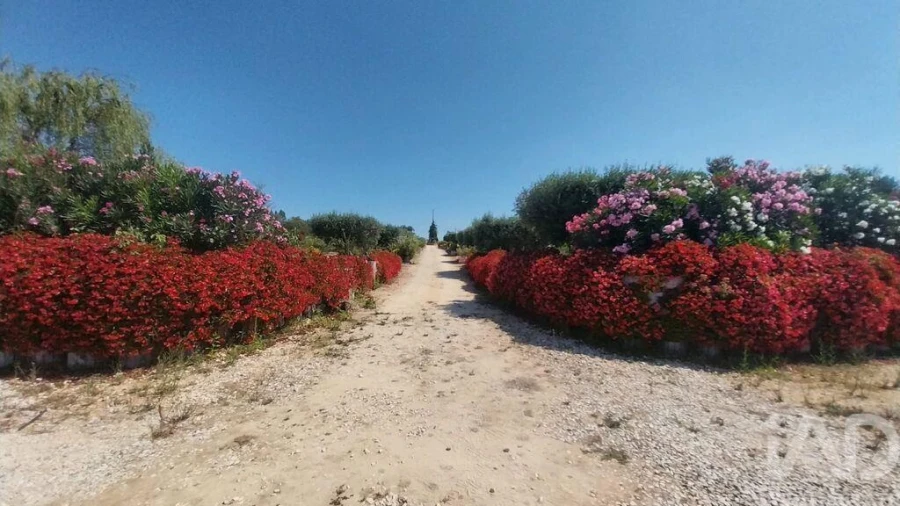 Terreno para Venda em Azambujeira e Malaqueijo Foto 15