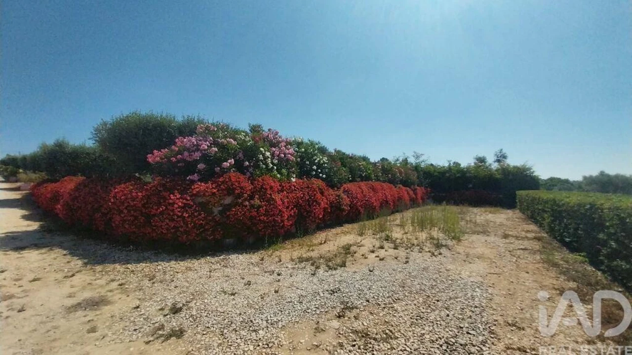 Terreno para Venda em Azambujeira e Malaqueijo Foto 14