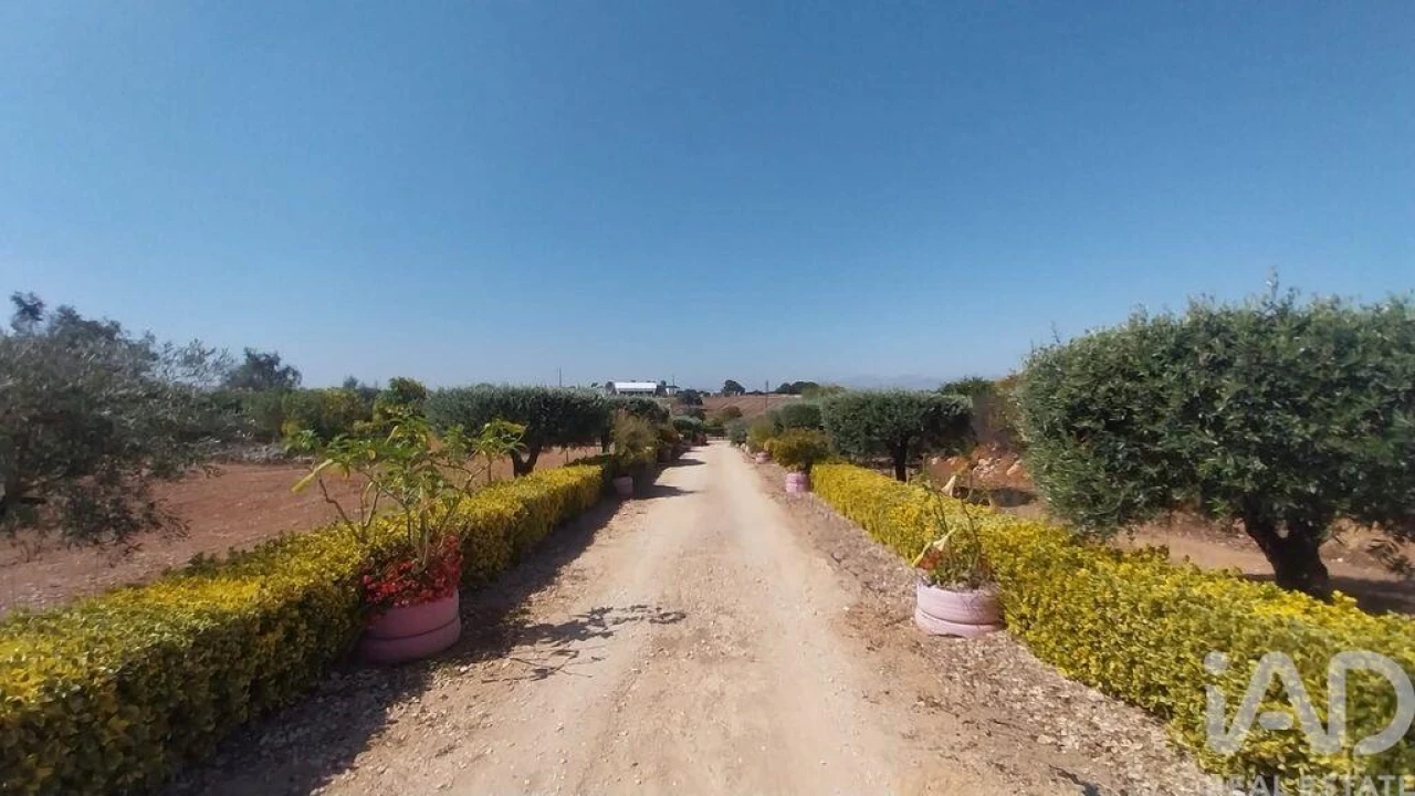 Terreno para Venda em Azambujeira e Malaqueijo Foto 32