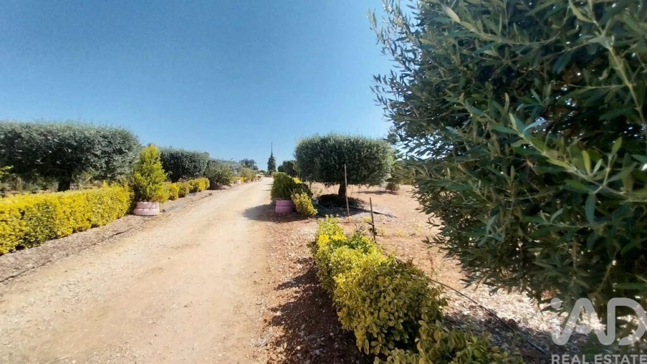 Terreno para Venda em Azambujeira e Malaqueijo Foto 31
