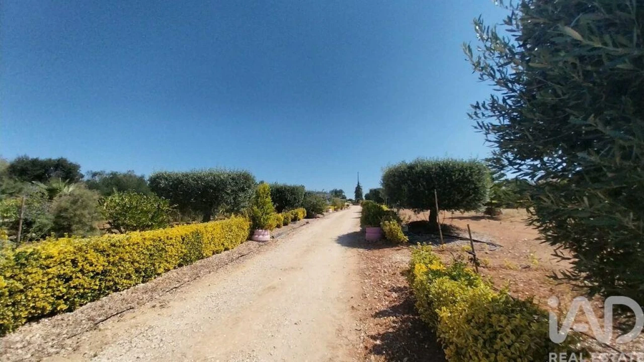 Terreno para Venda em Azambujeira e Malaqueijo Foto 21