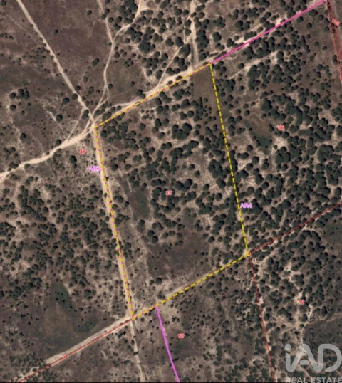 Terreno para Venda em Alcochete