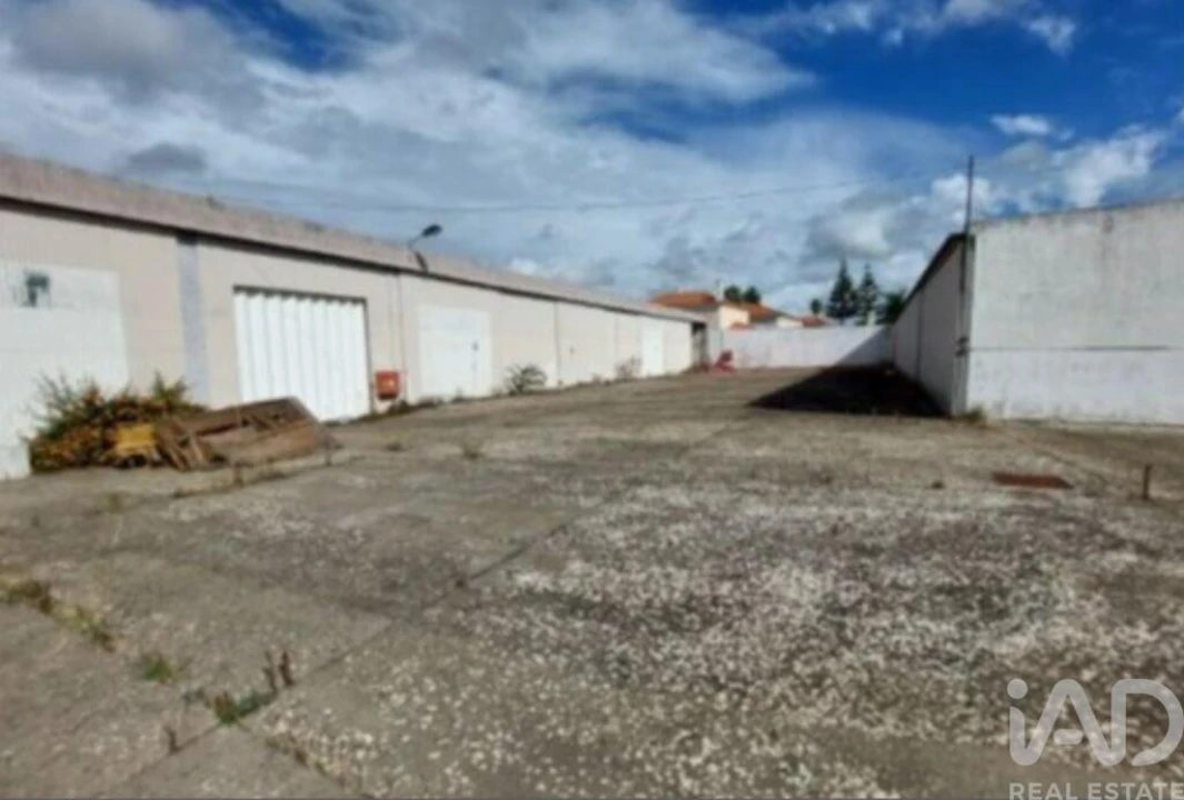 Armazém para Venda em Azeitão (São Lourenço e São Simão) Foto 12