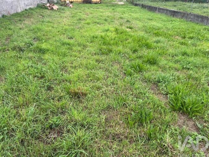 Terreno para Venda em Antas Foto 3