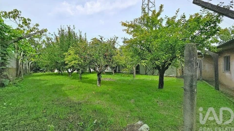 Moradia T3 para Venda em Vila de Cucujães