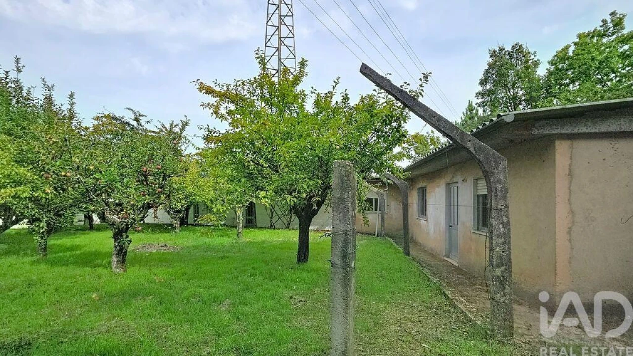 Moradia T3 para Venda em Vila de Cucujães Foto 6