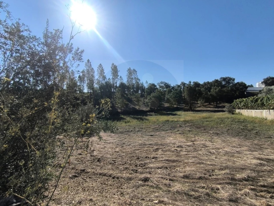 Terreno para Venda em Sardoal Foto 2