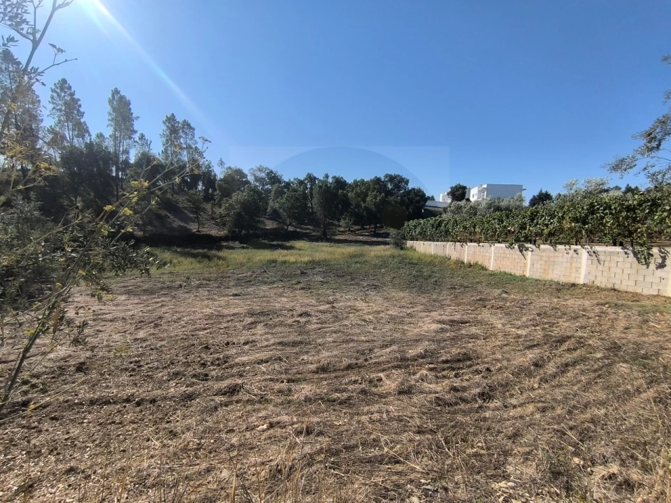 Terreno para Venda em Sardoal Foto 3