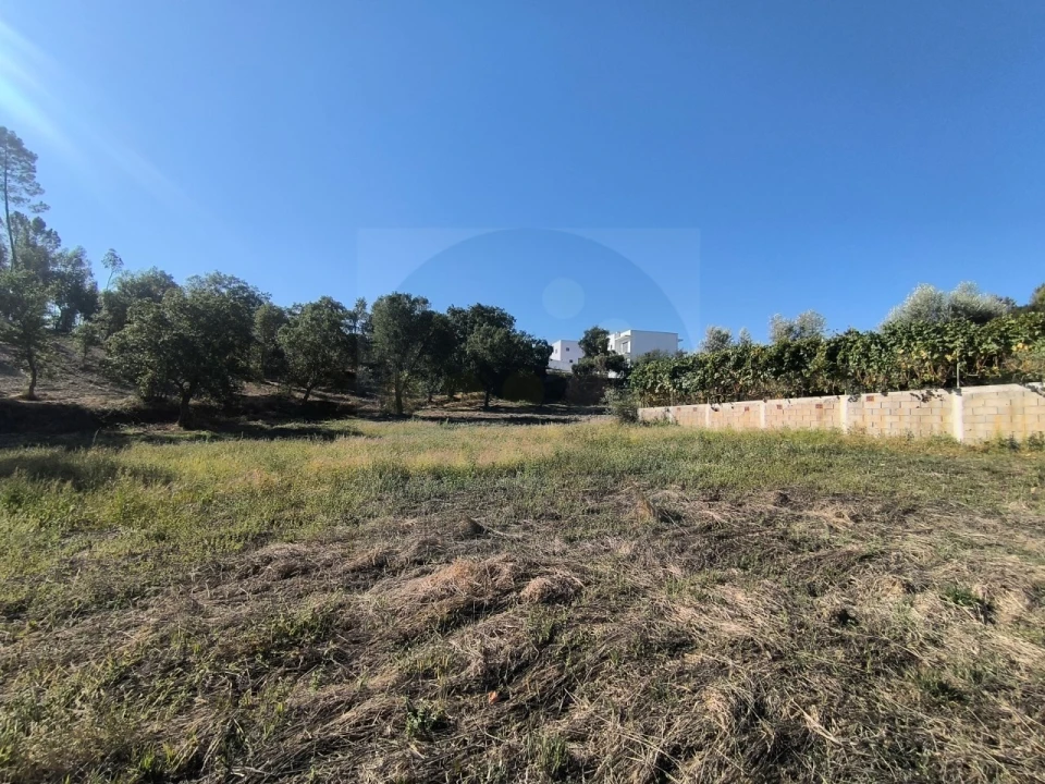 Terreno para Venda em Sardoal Foto 8