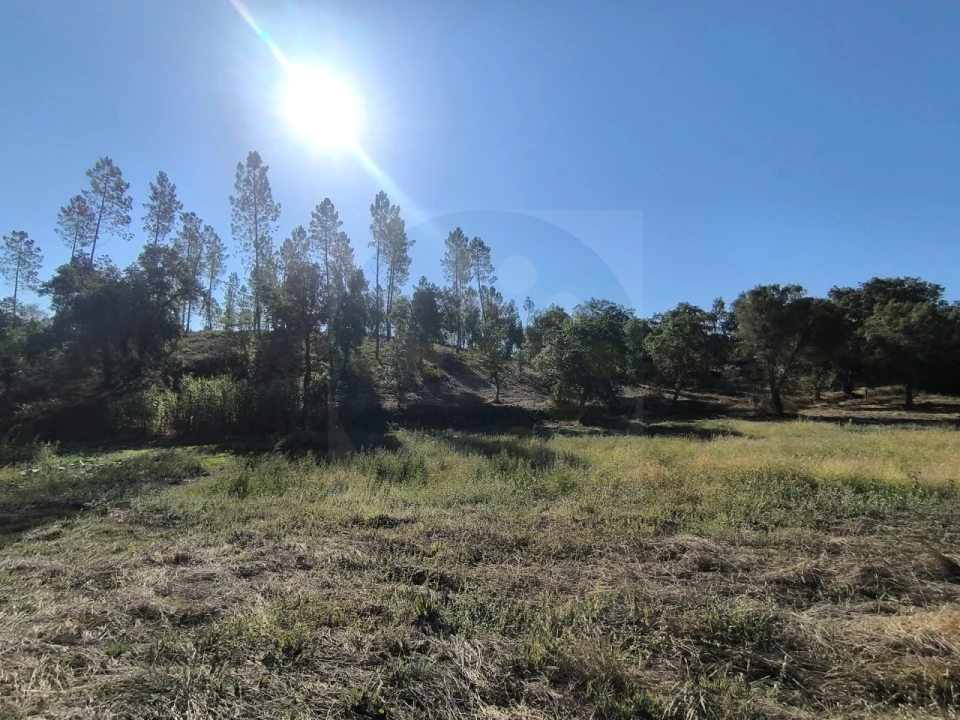 Terreno para Venda em Sardoal Foto 9