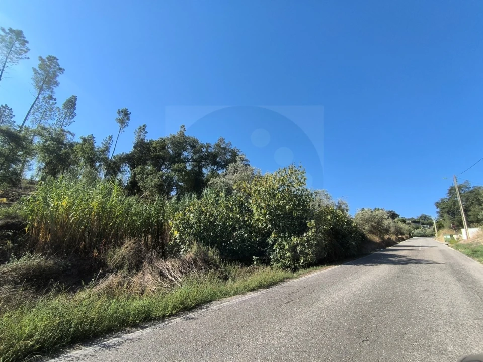 Terreno para Venda em Sardoal Foto 19
