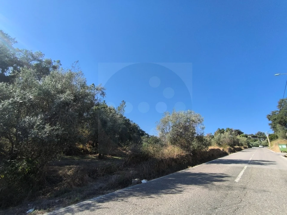 Terreno para Venda em Sardoal Foto 7