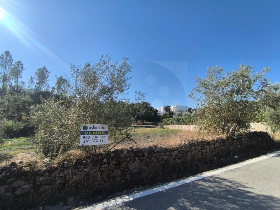 Terreno para Venda em Sardoal Foto 1