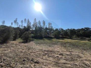 Terreno para Venda em Sardoal