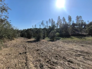 Terreno para Venda em Sardoal