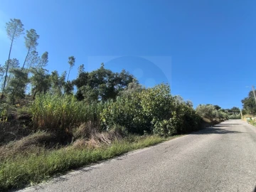 Terreno para Venda em Sardoal