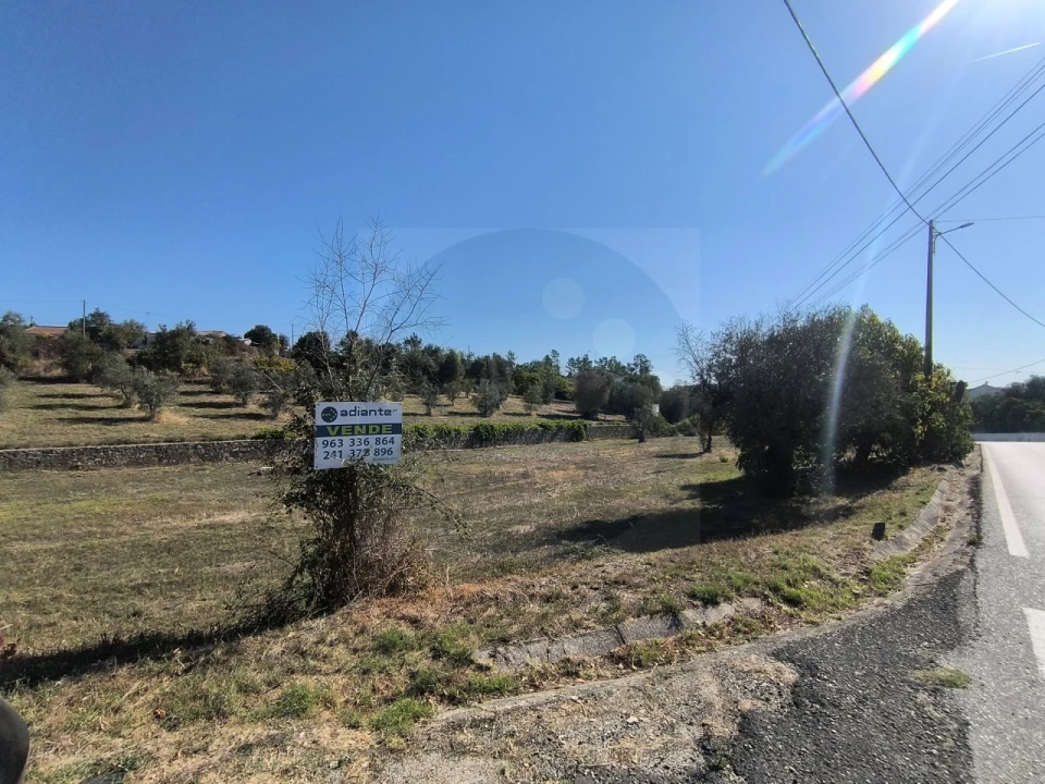 Terreno para Venda em Sardoal Foto 1