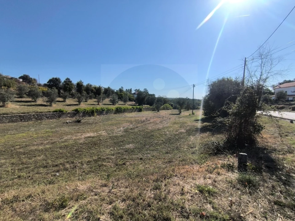 Terreno para Venda em Sardoal Foto 2