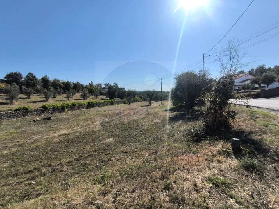 Terreno para Venda em Sardoal Foto 3