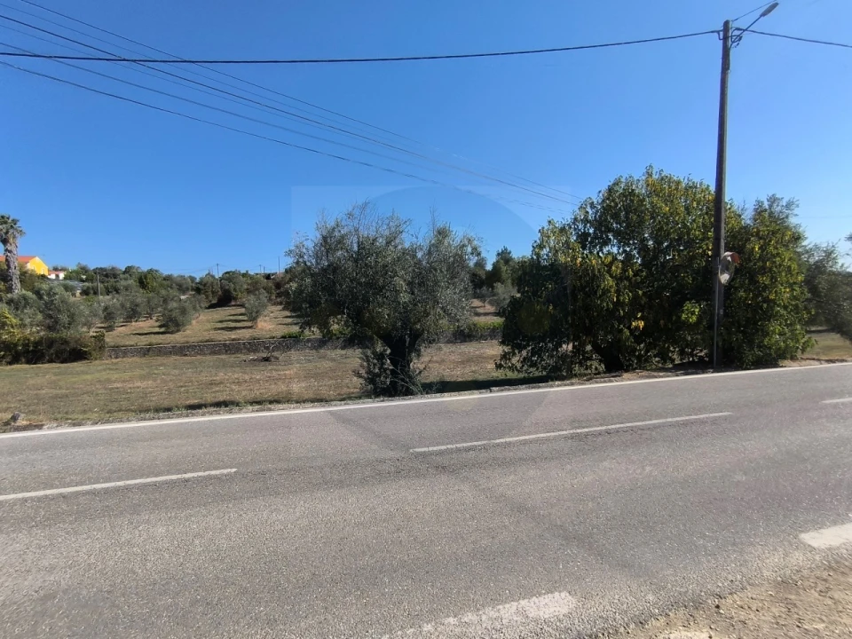 Terreno para Venda em Sardoal Foto 4