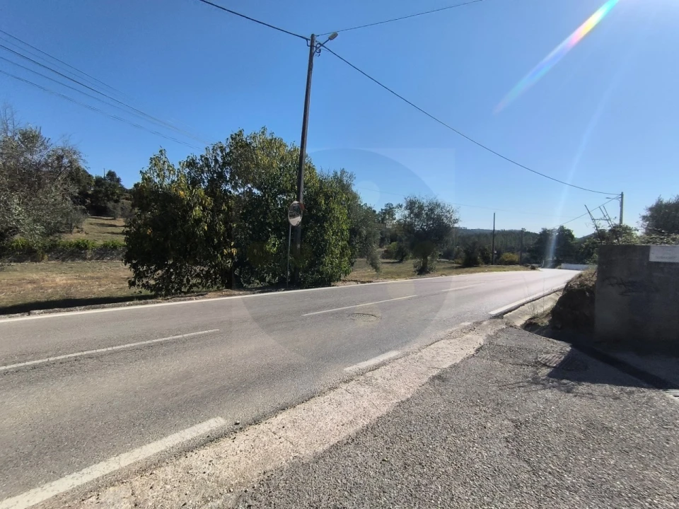 Terreno para Venda em Sardoal Foto 5