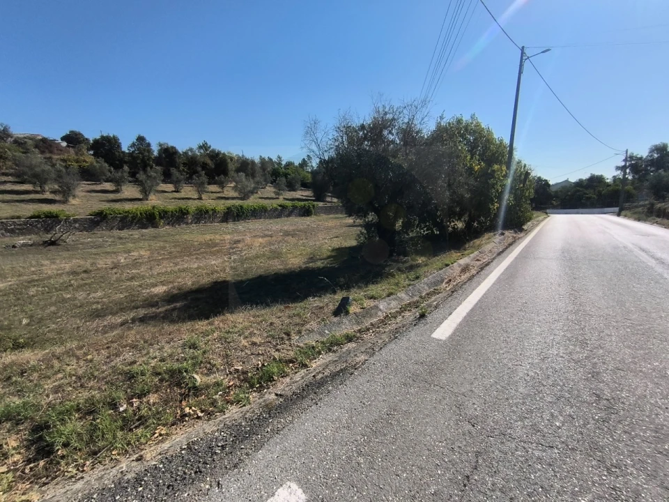 Terreno para Venda em Sardoal Foto 6