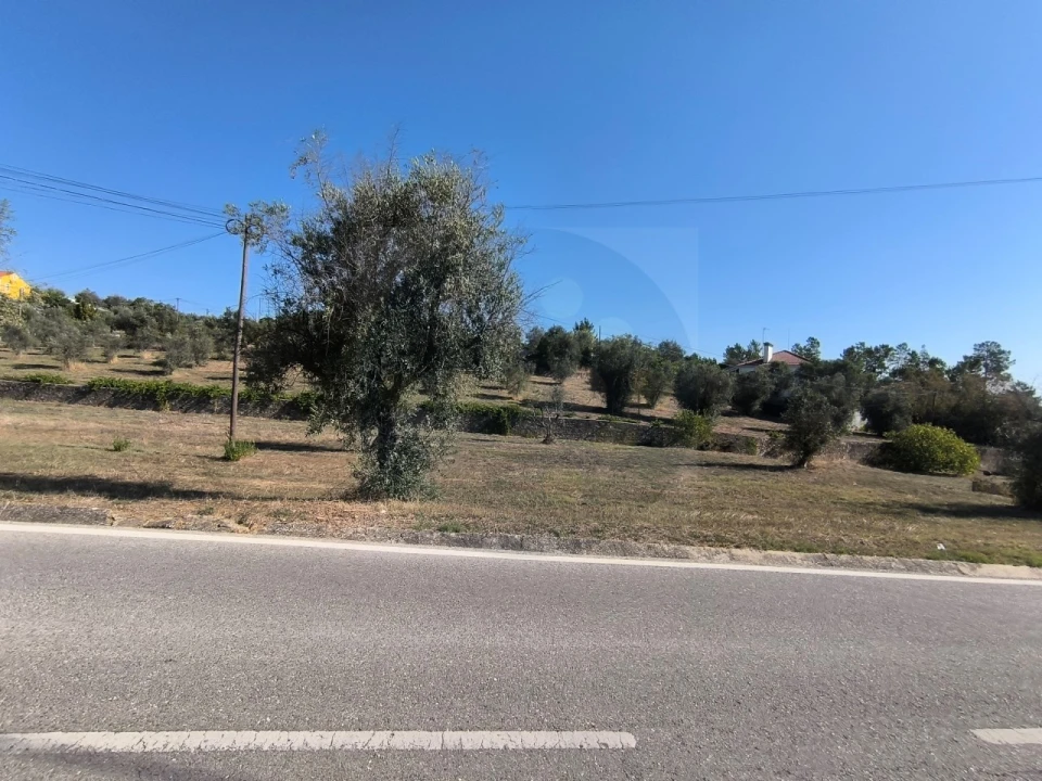 Terreno para Venda em Sardoal Foto 7