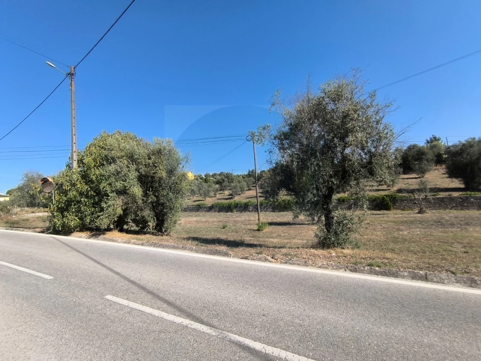 Terreno para Venda em Sardoal Foto 8