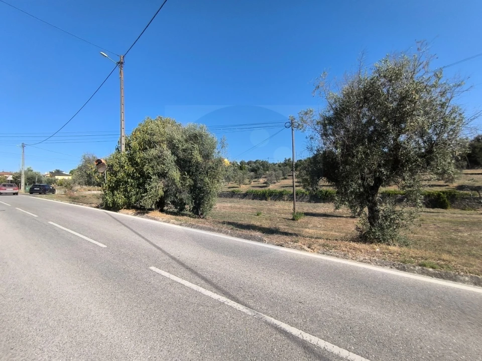 Terreno para Venda em Sardoal Foto 10