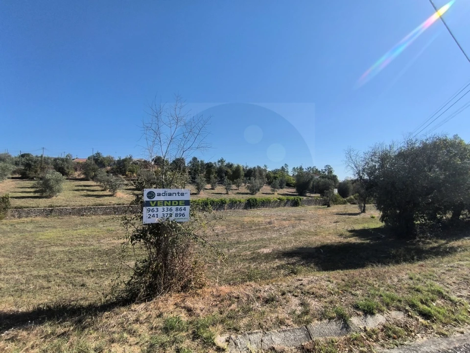 Terreno para Venda em Sardoal Foto 11