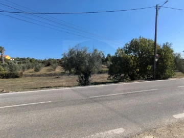 Terreno para Venda em Sardoal