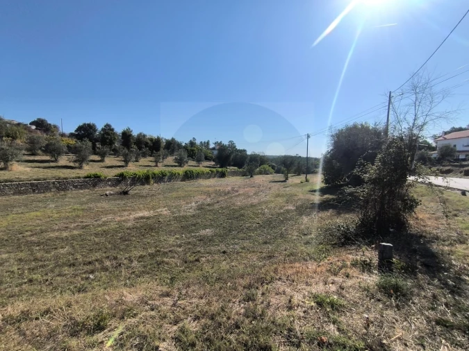 Terreno para Venda em Sardoal Foto 2