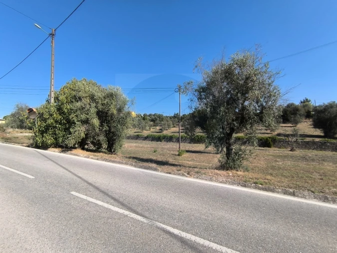 Terreno para Venda em Sardoal Foto 9