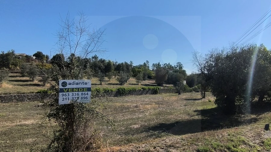Terreno para Venda em Sardoal