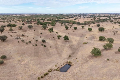 Terreno para Venda em Serpa (Salvador e Santa Maria)