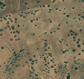 Terreno para Venda em Serpa (Salvador e Santa Maria)