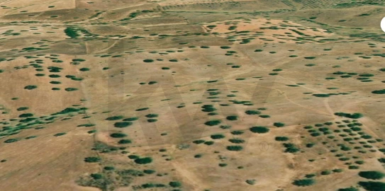 Terreno para Venda em Serpa (Salvador e Santa Maria)