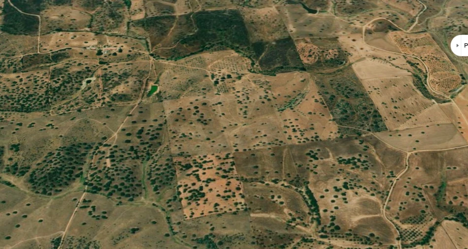 Terreno para Venda em Serpa (Salvador e Santa Maria) Foto 7