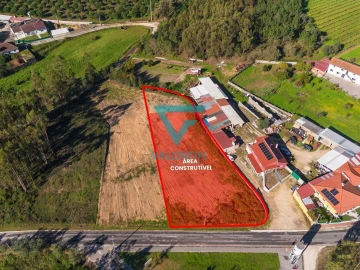 Terreno para Venda em Souto da Carpalhosa e Ortigosa