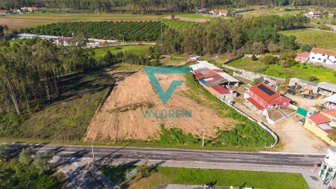 Terreno para Venda em Souto da Carpalhosa e Ortigosa